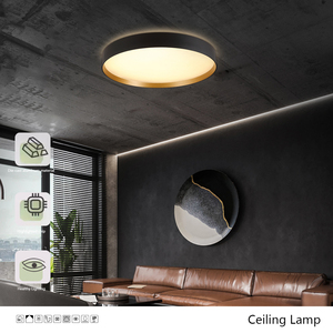 Vòng hiện đại <span class=keywords><strong>LED</strong></span> trần ánh sáng đồ đạc phòng ngủ sống Trần Đèn Nghiên Cứu Văn phòng trang trí vòng tròn màu đen ánh sáng - Product Image 3