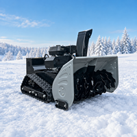 Souffleuse à neige télécommandée Crawler, machine de déneigement de 1000 mm de large pour allées et routes, élimination de fortes quantités de neige