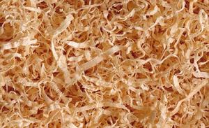 Virutas de madera de alta calidad para cama de caballos, virutas de pino puro a precio competitivo de Vietnam, madera dura natural para biomasa - Product Image 6