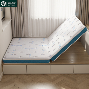China Manufacturer Organic Health <strong>Mattress</strong> Extra <strong>Hard</strong> <strong>Mattress</strong> Bunk Bed Thin Natural Palm Fiber <strong>Topper</strong> <strong>for</strong> Elders Student - Product Image 2