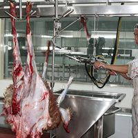 Équipement d'abattage clé en main pour moutons et chèvres, ligne complète d'équipement d'abattage de chèvres, machines pour usine de transformation de viande, directement de l'usine