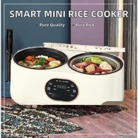 Cuisinière à riz électrique double mini nouvelle conception, antiadhésive, faible teneur en sucre, alimentation USB pour la maison, l'hôtel, la voiture, l'extérieur