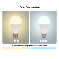 Nouvelle Arrivée Ampoule LED Décorative pour la Maison Culot E27/B22 Température de Couleur 3000K/6500K Durée de Vie 25000 Heures Éclairage Domestique Élégant