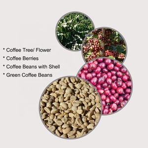 Mezcla de Café en Grano, Tueste Medio Espresso, Auténtica Especie Arábica, Aroma Fuerte a Quemado, Sabor Amargo a Chocolate - Product Image 6