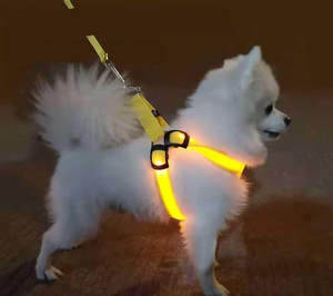 Collar <span class=keywords><strong>LED</strong></span> para Perro, Impermeable, Luminoso, Ajustable, Correa para Mascotas para Caminar de Noche, Collar de Seguridad Reflectante - Product Image 2
