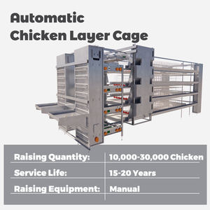 Tavuk çiftliği tavuk otomatik hayvan pil tabakası a tipi <span class=keywords><strong>120</strong></span> kuşlar 10000 kapasiteli tavuklar döşeme yumurta tavuk kafesi tavuklar döşeme - Product Image 2