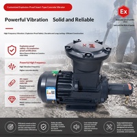 Vibrateur à béton antidéflagrant standard national, moteur à noyau de cuivre, monophasé 115/120V 2.2kW, modèle 3Y-90L