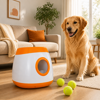 Lanceur automatique de balles pour chien, jouet interactif pour animaux de compagnie, machine à lancer des balles pour chiens, intérieur/extérieur