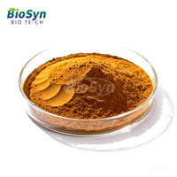 Extrait de fleur d'arnica montana de haute qualité BioSyn, poudre 10:1, extrait d'arnica montana