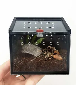 wholesale micro habitat small Tarantula Enclosure for arboreal insect feeding box acrylic enclosure