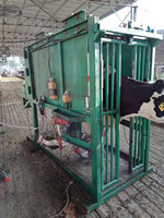 Nouvelle condition électrique bovin vache sabot coupe goulotte écraser acier bétail équipement agricole 1 an moteur et moteur garantie