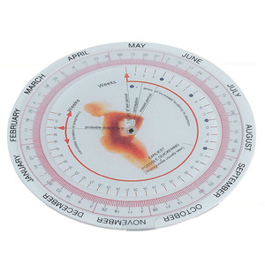Reglas de plástico Personalizado Blanco Brillo Vinilo Rueda de plástico <span class=keywords><strong>Calculadora</strong></span> <span class=keywords><strong>Fecha</strong></span> de vencimiento Disco de embarazo Buscador de <span class=keywords><strong>Fecha</strong></span> - Product Image 4