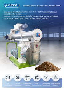 Pelletizadora de Ração Aquática Turnkey para Tailândia e Nigéria - Fabricante Eficiente de Moinhos de Ração para Peixes - Product Image 6