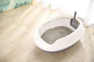 Großhandel Einfache Reinigung Abnehmbare Leichte Beste Kunststoff Katzenstreu Toilette Katzen toilette Für Katzen - Product Image 4