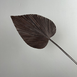 <span class=keywords><strong>Foglie</strong></span> di Palma Artificiali in PU, Frondi di Palma Ventilata Effetto Essiccato, 73cm Marrone, <span class=keywords><strong>Foglie</strong></span> Tropicali Finte per Vasi, Matrimoni e Decorazioni Domestiche - Product Image 6