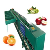 6-traps fruit sorteermachine kiwi sorteerder sinaasappel rode pitaya drakenvrucht sorteermachine