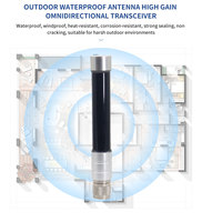 Gain personnalisé étanche 868mhz 8dbi antenne Omni Gsm antenne en fibre de verre