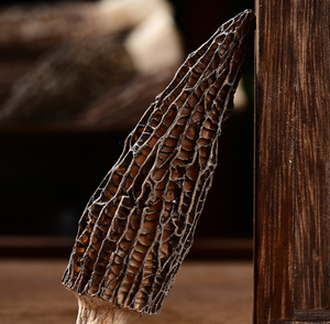 Funghi Morchella Neri Essiccati Naturali a Forma di Cubo, Funghi Freschi - Product Image 5