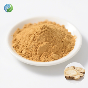 Top Food Grade Herbal Extrato 100% Puro Branco <span class=keywords><strong>Atractylodes</strong></span> Ervas chinesas Macrocephala Raiz Em Pó - Product Image 1