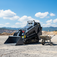 Mini-chargeuse sur chenilles compacte Kubota Diesel V1100 avec garantie d'un an pour l'agriculture et la construction