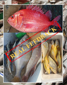 En Promotion Leurre Souple Ver de Mer pour la Pêche 6g/10g Appât Vivant ou Sec Puissant - Product Image 5