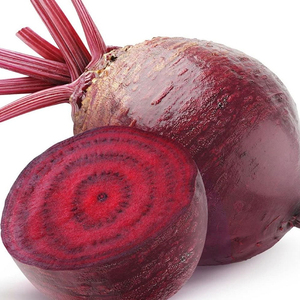 Material de Cultivo de Remolacha Roja Oscura de Alto Rendimiento Detroit para Producción Agrícola a Gran Escala, Suministro al por Mayor y Mercado de Exportación - Product Image 1