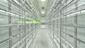 Contenedor de Envío de Acero Inoxidable de 40HQ para Granja Hidropónica, Invernadero, Sistema de Cultivo Vertical, Máquina para Producción de Forraje y Planta - Product Image 4