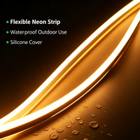 Bande lumineuse LED flexible en silicone étanche IP67 avec télécommande 24V DC pour éclairage intérieur et extérieur