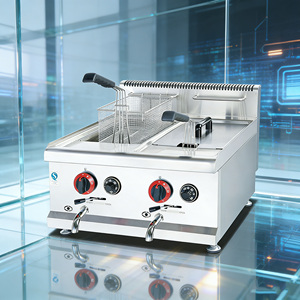 <span class=keywords><strong>Friteuse</strong></span> à <span class=keywords><strong>gaz</strong></span> professionnelle encastrable 14L+14L pour poulet et garri, à air chaud - Product Image 1