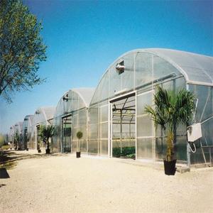 Serre de revêtement en Polycarbonate Commercial, Offre Spéciale - Product Image 5