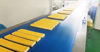 Nouvelle machine à découper les gâteaux 220V haute productivité avec lame en alliage de titane, construction en acier inoxydable, trancheuse carrée et rectangulaire