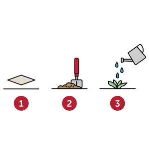 Carte de visite en forme de grain de semence, merchandising durable - Product Image 5