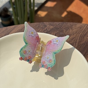 Pince à Cheveux Élégante pour Femme – Accessoire Haut de Gamme en Plastique avec Magnifique Motif Papillon – Vente en Gros - Product Image 2