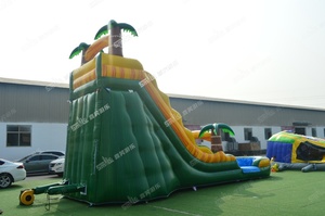 Piscine gonflable d'enfants de glissière d'eau du jardin 20ft avec la glissière à vendre - Product Image 4