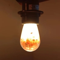 Ampoule LED avec sel rose de l'Himalaya pour le salon et le bureau-Lampe au sel naturel avec lueur ambrée chaude