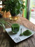 Poudre d'herbe de blé de qualité alimentaire extraite de germes de blé frais Superfood 1kg Commande minimum d'extrait de plantes pures