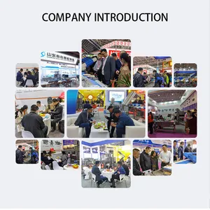 Machine à fariner automatique pour couper les dés de steak de boeuf d'agneau/cube de poulet - Product Image 5