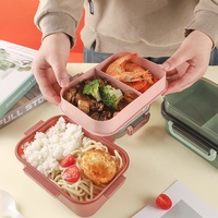 Icen-A04 Gadget de cuisine en plastique personnalisé sans BPA, certifié FCM, de qualité alimentaire, écologique, boîte à lunch en silicone chauffable