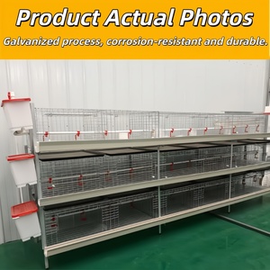 Cage à poulets de chair galvanisée épaissie, équipement d'élevage de poussins, cage à poussins à 4 niveaux à vendre - Product Image 2