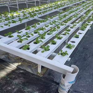 Equipo de Cultivo Hidropónico Vertical de Alta Productividad para Cultivo de Hongos en Interiores, Tubo NFT, PP de Grado Alimenticio, 5 Capas, Tamaño Personalizable - Product Image 4