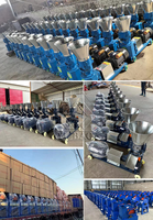 Extrudeuse de granulés pour animaux de haute qualité, directement de l'usine, couleur personnalisable, poulet, canard, mouton, porc, etc., machine à granulés d'aliments pour poissons