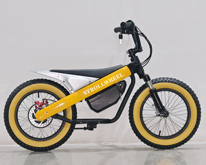 Vélo de <span class=keywords><strong>route</strong></span> électrique 800w 36v gros pneu vélo électrique spécialisé mini vélo de ville électrique 16 pouces hors <span class=keywords><strong>route</strong></span> vélo - Product Image 3