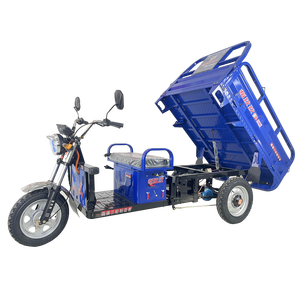 1.5m Solar Adult Electric <strong>Tricycle</strong> 900W <strong>Mini</strong>-type <strong>Cargo</strong> <strong>Truck</strong> 500 kg Carrying Capacity Electric <strong>Cargo</strong> <strong>Tricycle</strong> <strong>Scooter</strong> for Sale - Product Image 2