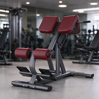 Chaise romaine professionnelle réglable pour extension dorsale et hyperextension, idéale pour les centres de fitness et la musculation