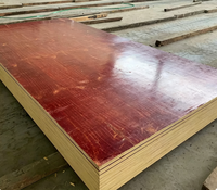 Panneau de contreplaqué pour coffrage en béton, taille 1200x2400mm, âme en contreplaqué haute densité pour le coffrage des murs, capacité de fourniture stable