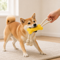 Jouet de traction pour chien en plastique moderne, multi-couleurs, écologique, en forme d'os, avec corde en coton durable, pour le nettoyage des dents et poignée facile à saisir