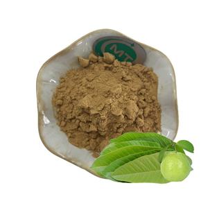 Высококачественный кошерный экстракт листьев сидия Quajava, порошок листьев гуавы, экстракт листьев гуавы - Product Image 1