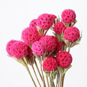 Boule de fleurs séchées immortelles et magnifiques, passe-partout pour la décoration de la maison - Product Image 3