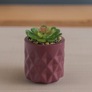 Suculentas artificiales en maceta de cemento Pequeña planta de <span class=keywords><strong>cactus</strong></span> artificial <span class=keywords><strong>para</strong></span> estante de sala de estar - Product Image 1