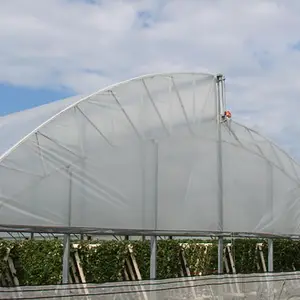 Skyplant Multi span film greenhouse agricultural equipment hydroponic system poly tunnel green house